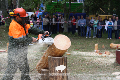 Belovezhskaya Pushcha INVITES to the celebration of the Forest Worker Day!