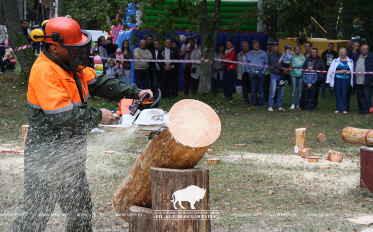 Belovezhskaya Pushcha INVITES to the celebration of the Forest Worker Day!