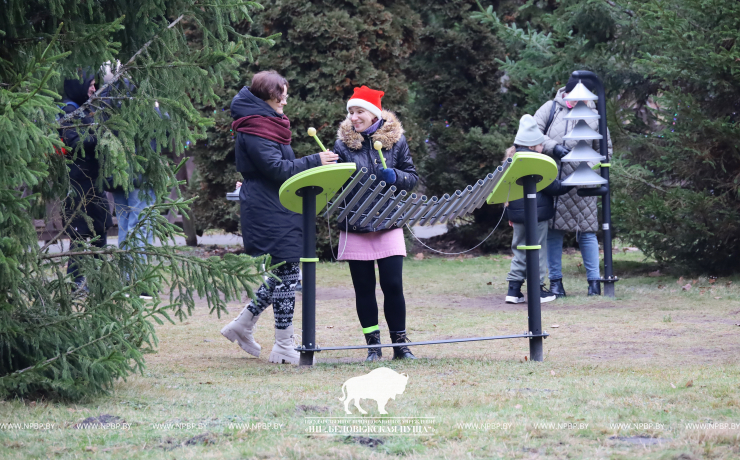 Как прошёл праздник в Беловежской пуще с участием волшебников