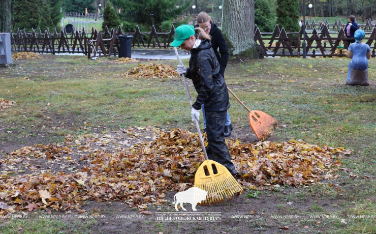 Республиканский субботник в Беловежской пуще