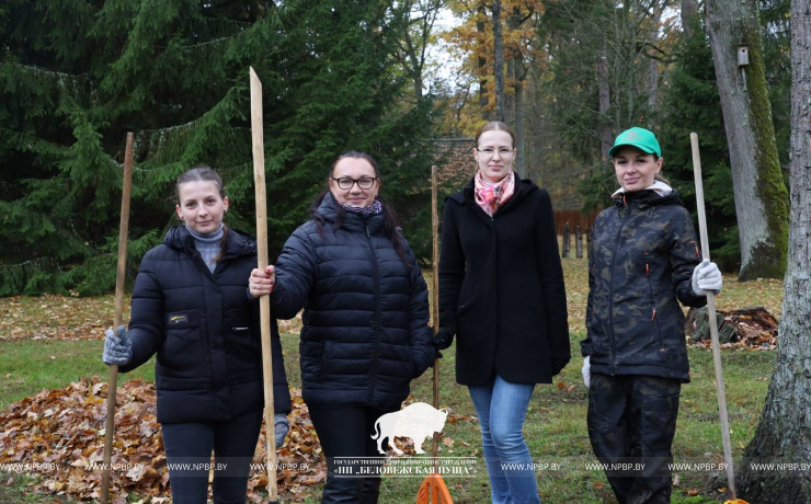 Республиканский субботник в Беловежской пуще