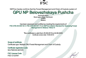 Annual audit of the FSC certification scheme