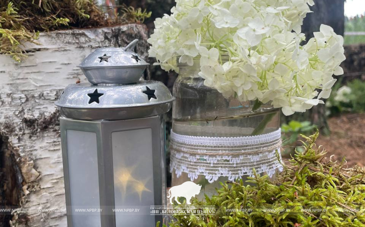Абсолютное золото! 