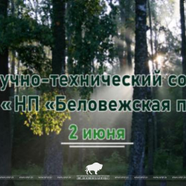 2 июня заседание Научно-технического совета