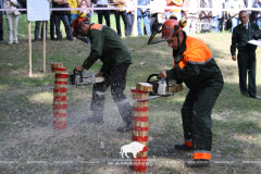 Belovezhskaya Pushcha INVITES to the celebration of the Forest Worker Day!