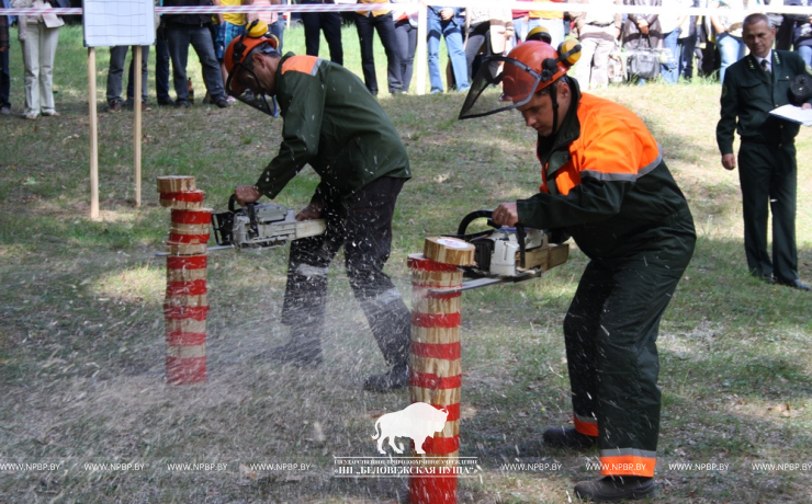 Belovezhskaya Pushcha INVITES to the celebration of the Forest Worker Day!