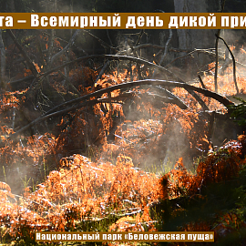 3 марта – Всемирный день дикой природы 