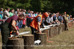 Belovezhskaya Pushcha INVITES to the celebration of the Forest Worker Day!