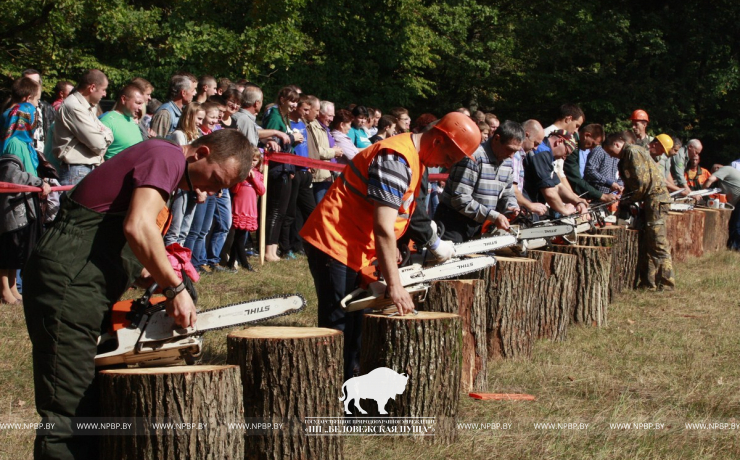 Belovezhskaya Pushcha INVITES to the celebration of the Forest Worker Day!