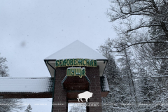 Снежные выходные в Беловежской пуще