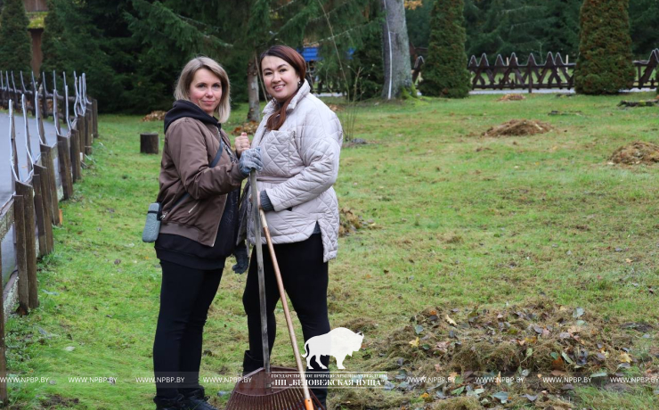 Республиканский субботник в Беловежской пуще