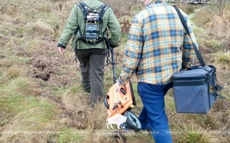 Тайны археологии Беловежской пущи раскрываются с помощью радиотехнического зондирования