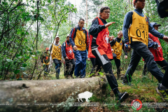 The first international competitions in sport walking were held in Belovezhskaya Pushcha.