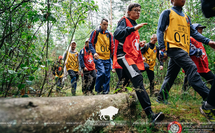 The first international competitions in sport walking were held in Belovezhskaya Pushcha.