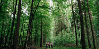 The first international competitions in sport walking were held in Belovezhskaya Pushcha.