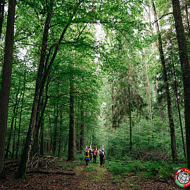 The first international competitions in sport walking were held in Belovezhskaya Pushcha.