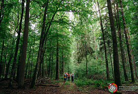 The first international competitions in sport walking were held in Belovezhskaya Pushcha.