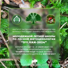 В Беловежской пуще пройдет летняя школа «SYLVAN-2024»! Ведется запись участников