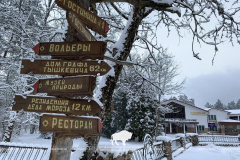 Снежные выходные в Беловежской пуще