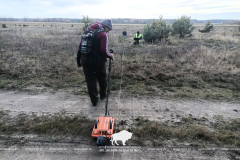 Тайны археологии Беловежской пущи раскрываются с помощью радиотехнического зондирования