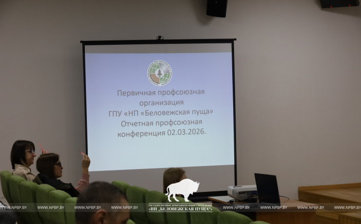 Отчетная конференция профсоюза: результаты работы за 2025 год